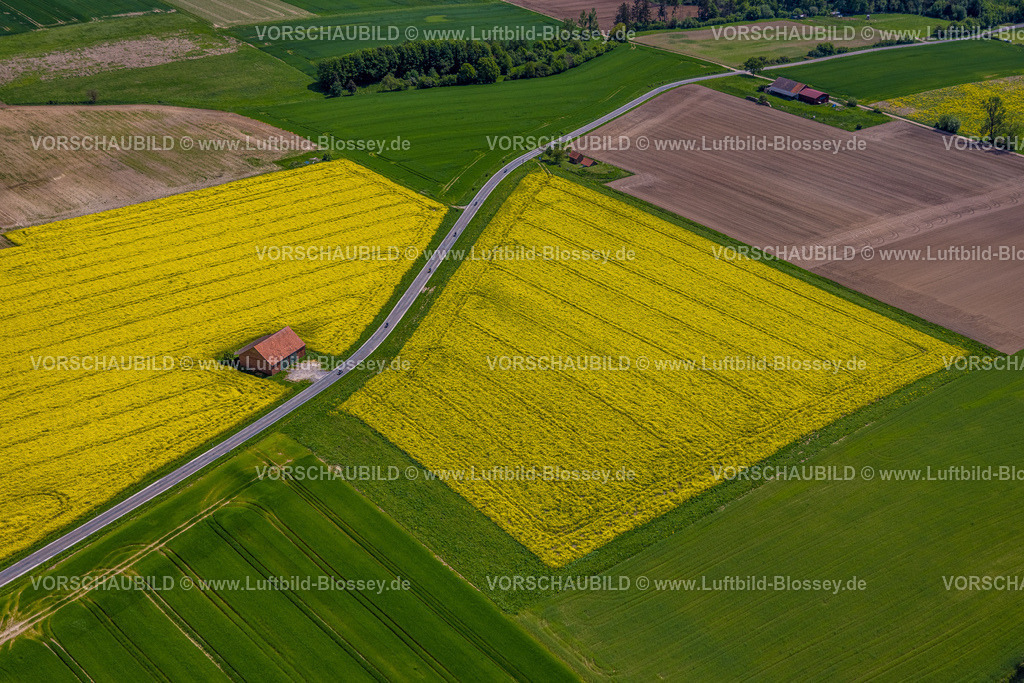Borgentreich240504931Feldlandschaft | Luftbild, kachelförmige grüne Wiesen und Feldlandschaft mit gelben Rapsfeldern, Natinger Straße mit Motorradfahrer Gruppe und Hütte am Wegesrand, Natingen, Borgentreich, Ostwestfalen, Nordrhein-Westfalen, Deutschland