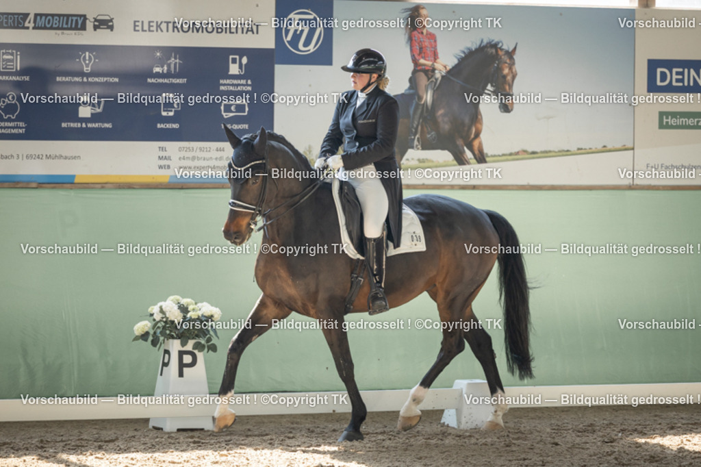 _D5A1903 | Emotionale Pferde- & People-Fotografie rund um Heidelberg, Leimen & Umgebung. Natürliche Fotos von Pferd, Mensch & Familie. Jetzt Termin sichern!