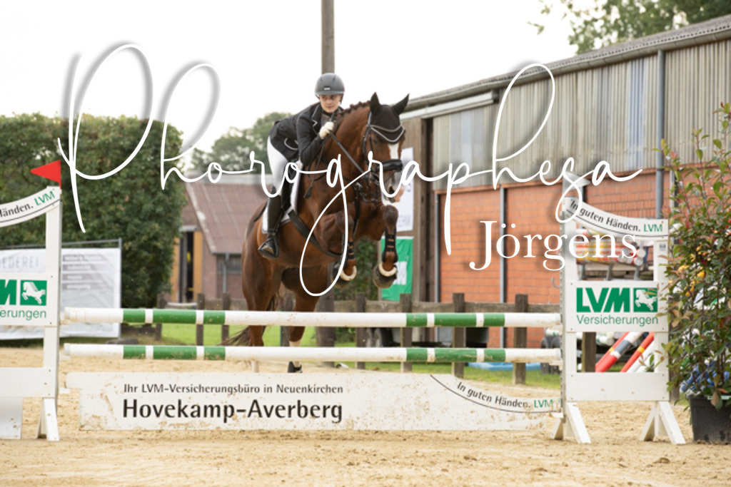 IMG_6581 | photographesa-joergens - Realisiert mit Pictrs.com