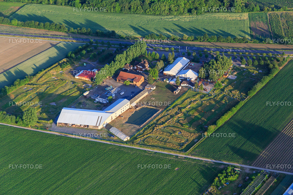 Fussballgolfpark Südpfalz im Adamshof Kandel http://www.fussballgolfpark-suedpfalz.de/ http://www.kandel-adamshof.de/index.php/speisekarte | Luftbild: Fussballgolfpark Südpfalz im Adamshof Kandel http://www.fussballgolfpark-suedpfalz.de/ http://www.kandel-adamshof.de/index.php/speisekarte in Kandel im Bundesland Rheinland-Pfalz in Deutschland. Foto: IMG_080889.jpg vom 13.06.2015 durch Werner Riehm/FLY-FOTO.de - Realisiert mit Pictrs.com