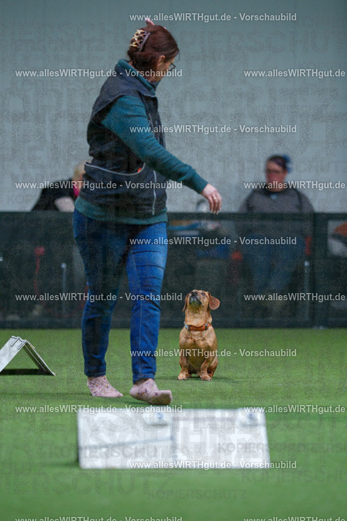 7R501878 | Professionelle Tierfotografie in Mönchengladbach von Daniel Wirth (allesWIRTHgut). Liebevolle & natürliche Bilder von Hunden & Katzen für unvergessliche Erinnerungen.