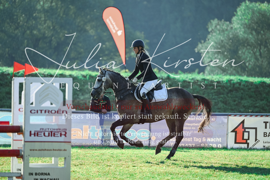 DSC_4459 | Pferde- und Turnierfotografie in Westsachsen. Pferdeportraits, Auftragszeichnungen und intuitive Kunst.