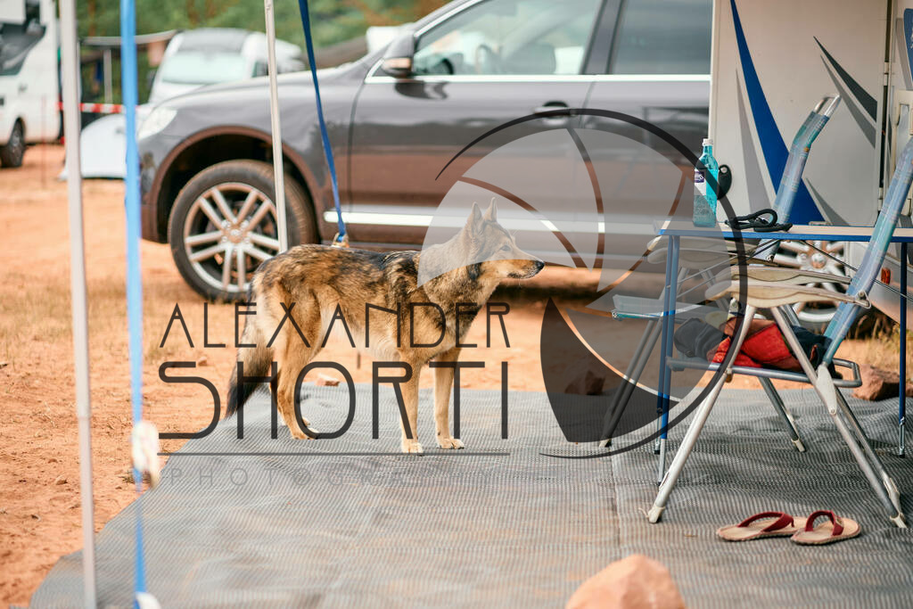 539_FoodRock_2023_25_Camping | alexandershorti - Realisiert mit Pictrs.com