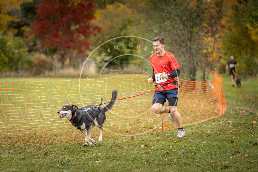Pfotenfotografie_DV3A4240 | Hundefotografie, Tierfotograf, Pfotenfotografie, Fotoshooting Hund, Hunde Portrait, Hundesport, Hundeportraits, Heideshooting, Hunde, Sportfotograf, Hundefotograf, Turnierhundsport, THS,  - Realisiert mit Pictrs.com