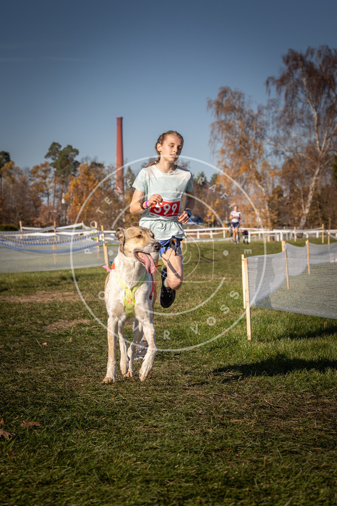 CaniXpix_0L8A8522 | Hundefotografie, Tierfotograf, Pfotenfotografie, Fotoshooting Hund, Hunde Portrait, Hundesport, Hundeportraits, Heideshooting, Hunde, Sportfotograf, Hundefotograf, Turnierhundsport, THS,  - Realisiert mit Pictrs.com