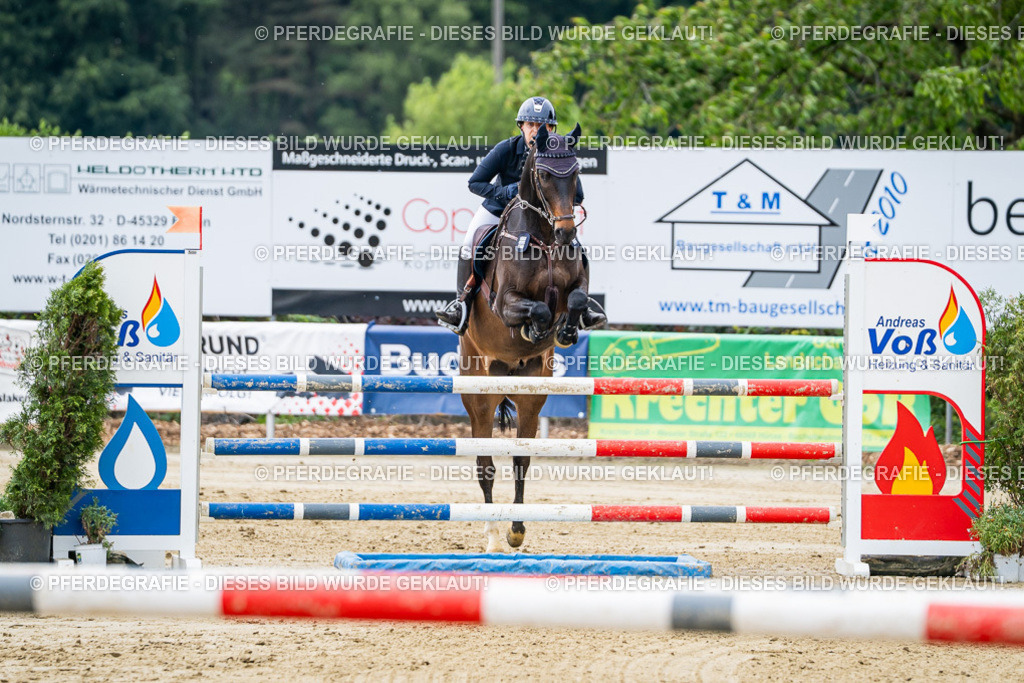 DSC05063 | Pferdegrafie