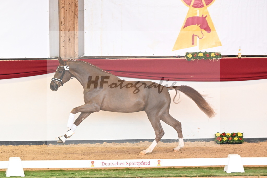 Kat.-Nr. 62 v. Shu Fu_Fischer_2240935 | hf-fotografie - Realisiert mit Pictrs.com