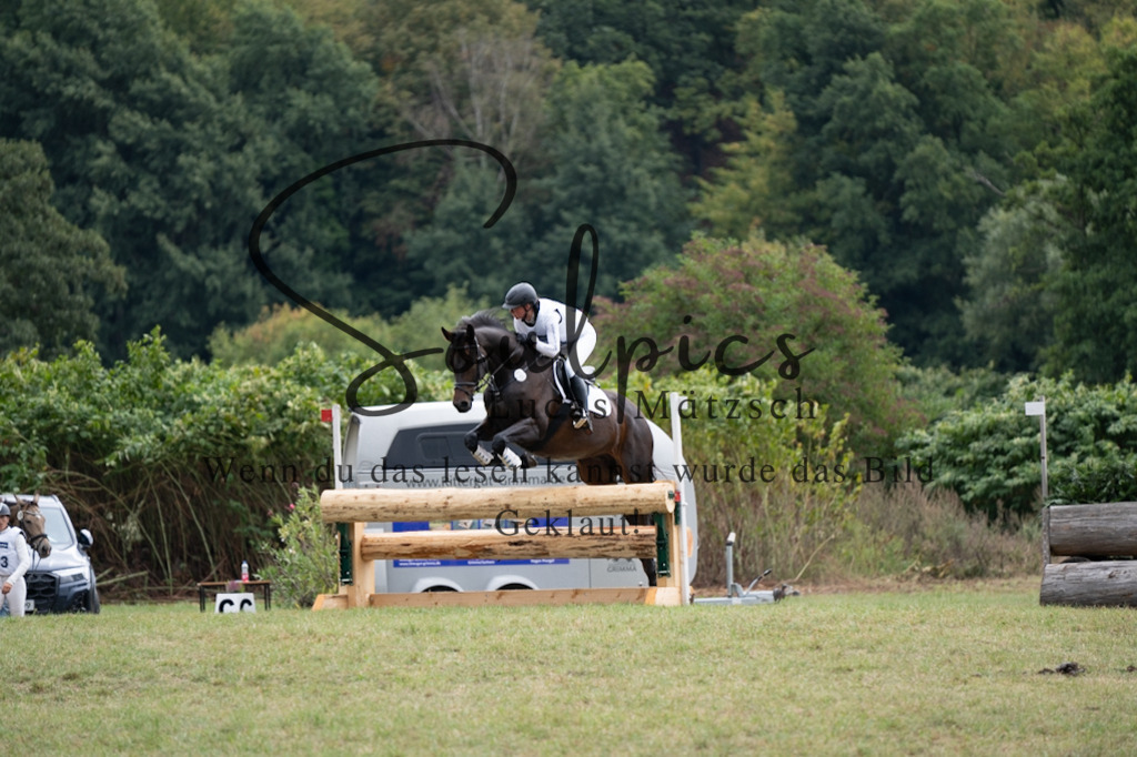 A7V00467 | Pferdefotograf