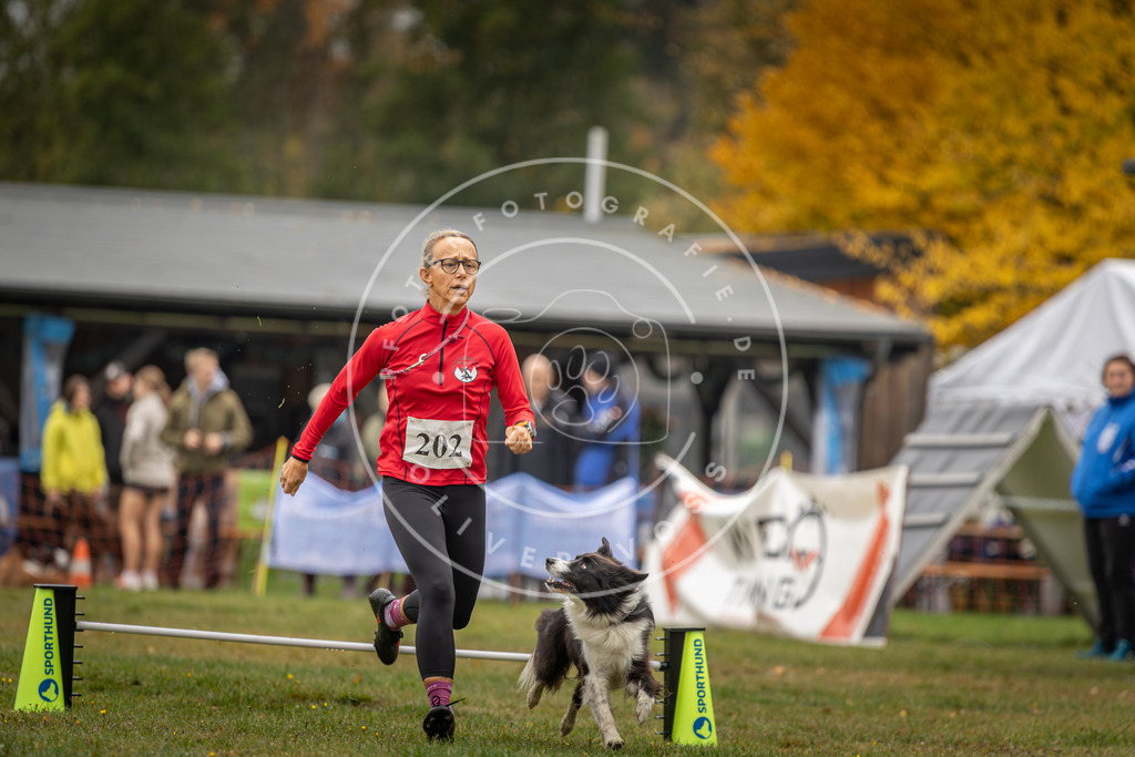 Pfotenfotografie_DV3A1628 | Hundefotografie, Tierfotograf, Pfotenfotografie, Fotoshooting Hund, Hunde Portrait, Hundesport, Hundeportraits, Heideshooting, Hunde, Sportfotograf, Hundefotograf, Turnierhundsport, THS,  - Realisiert mit Pictrs.com