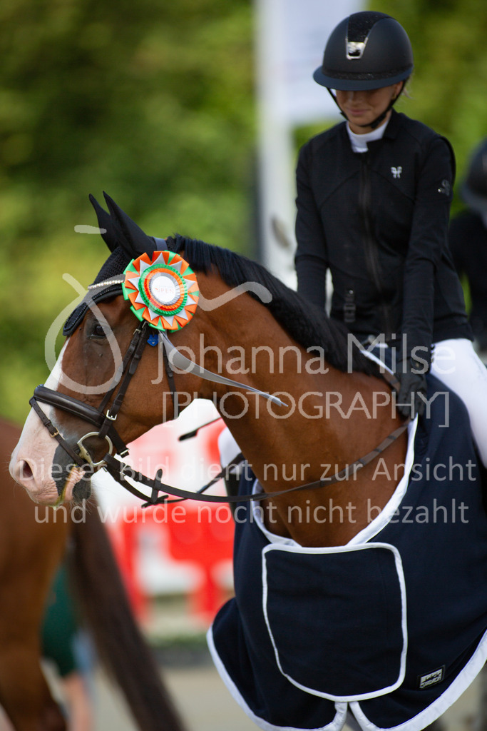 230729_BHO_Springprf.-A2_2Abtl_044 | Deine schönsten Turniermomente als professionelle Fotos! Entdecke hochwertige Pferdesport-Fotografie im Online-Shop. Jetzt Fotos finden & bestellen!