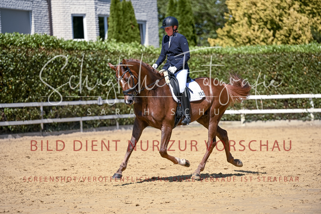 Schugtsche-Aluta25-49.Dressurpferdeprf.A-385 | Schugtsche Fotografie - Realisiert mit Pictrs.com