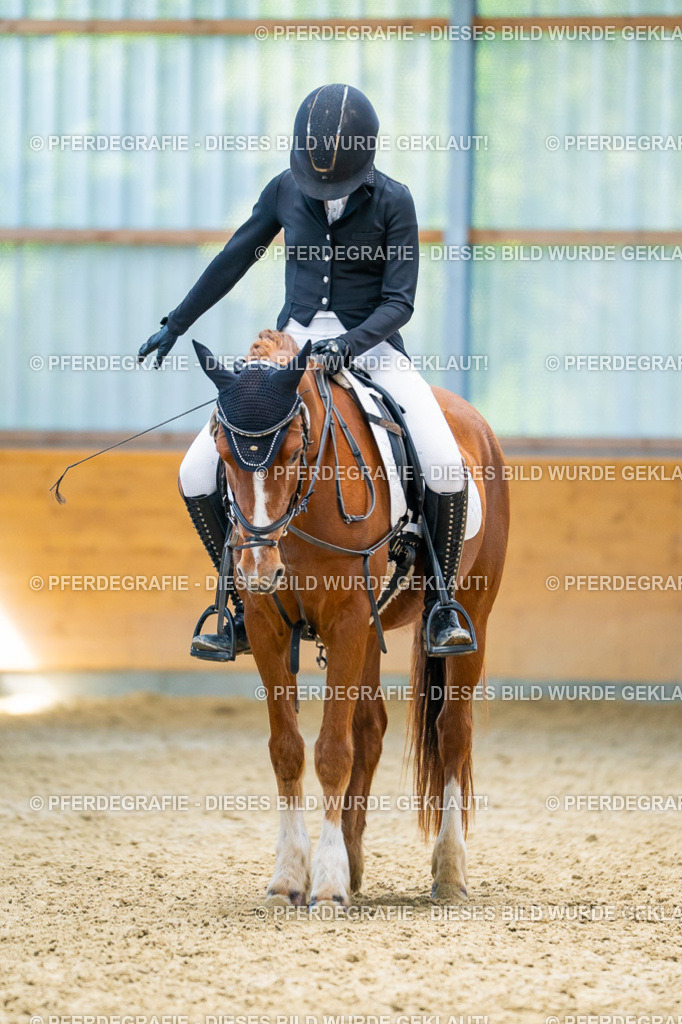 DSC08899 | Pferdegrafie