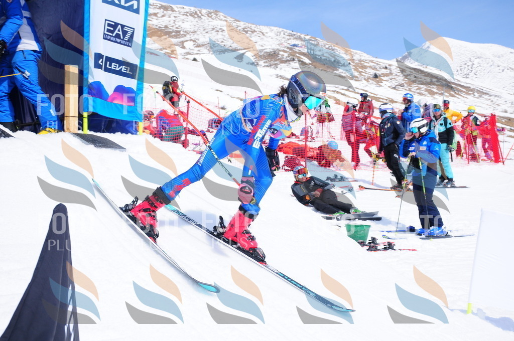 DSC_6803 | holidayphoto