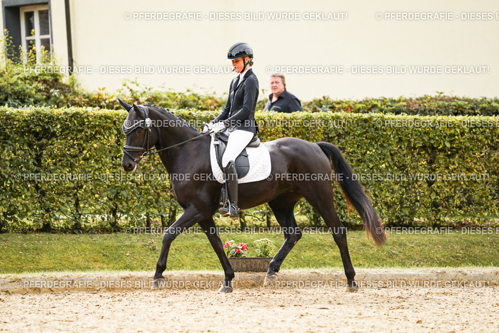 DSC02093 | Pferdegrafie