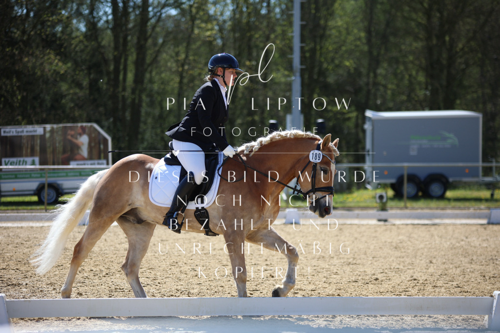 IMGT0740 | pl-fotografie