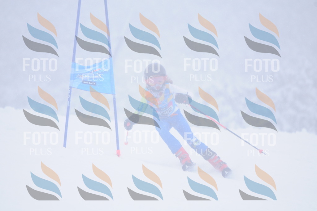 C2051 | holidayphoto