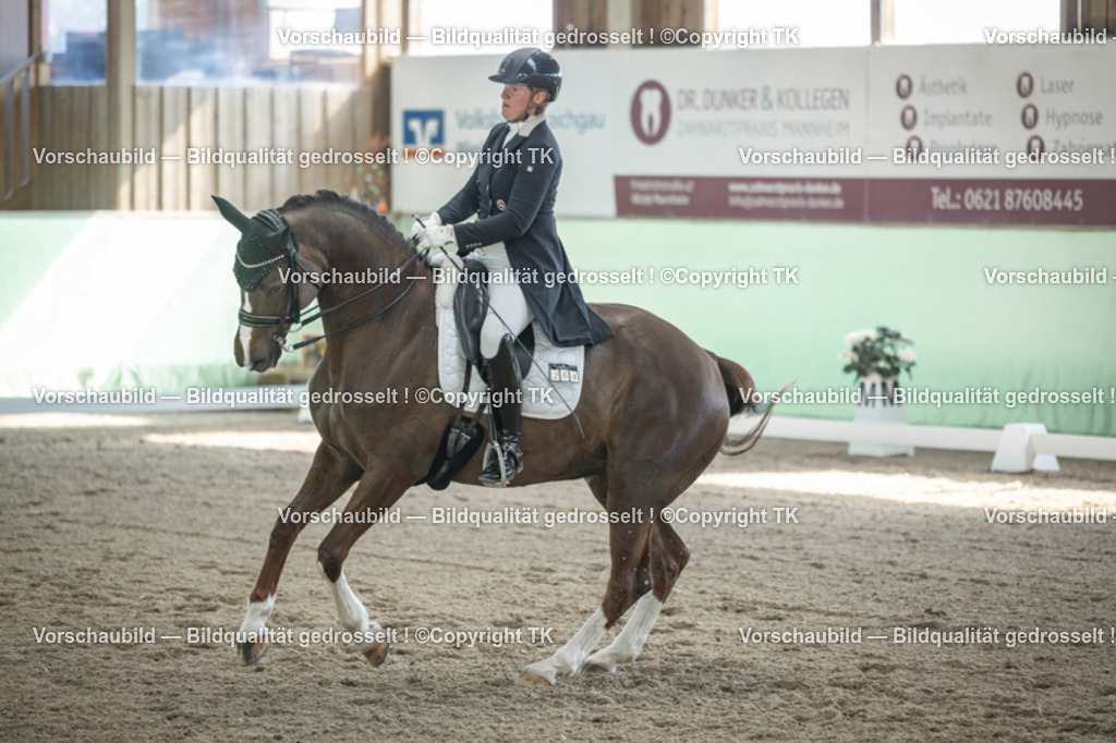 _D5A9352 | Emotionale Pferde- & People-Fotografie rund um Heidelberg, Leimen & Umgebung. Natürliche Fotos von Pferd, Mensch & Familie. Jetzt Termin sichern!