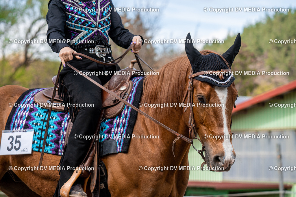 BAL02583 | dv-media-shop - Realisiert mit Pictrs.com