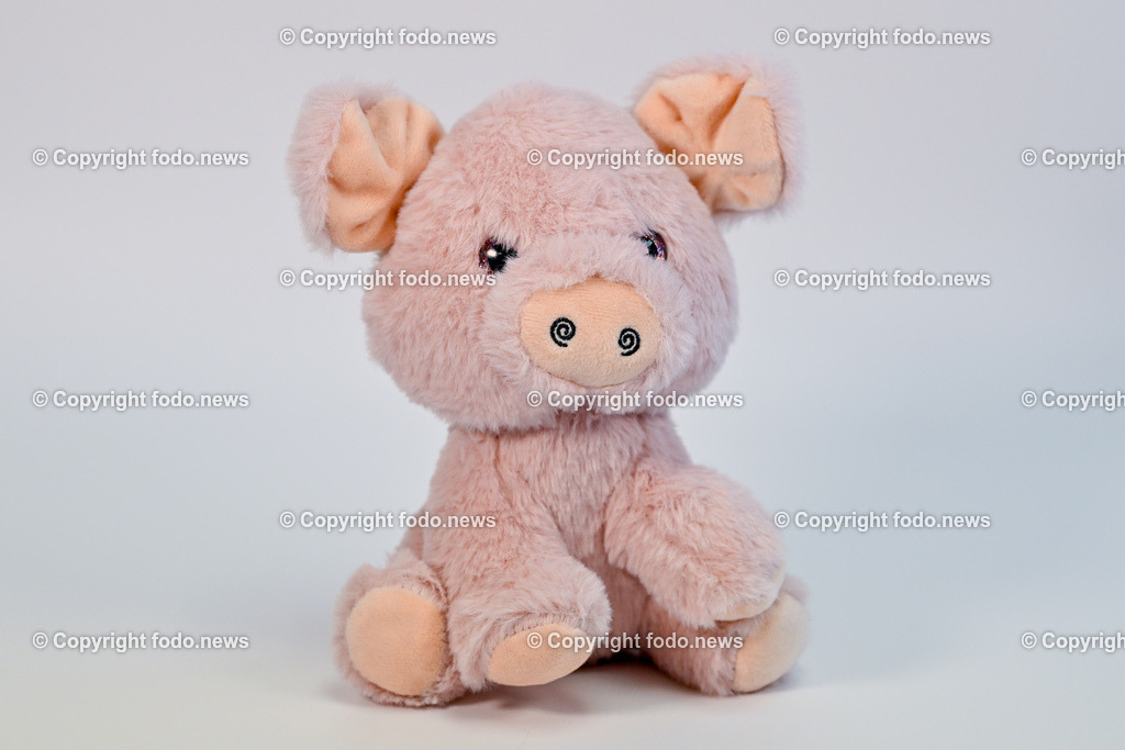 Gluecksbringer_ Silvester_ 27.12.2024-8 | 27.12.2024, Linz, AUT, Linz, Themenbilder im Bild Gluecksbringer, Glücksbringer, Gluecksymbole, Glücksymbole, Neujahr, Schwein, Pilz, Schwammerl, Rauchfangkehrer, Silvester, Jahreswechsel, Neujahr, Deko, Dekoration, Festlichkeit, Glückwunsch, Jahresbeginn, Party, Glueck, Tradition, Figur