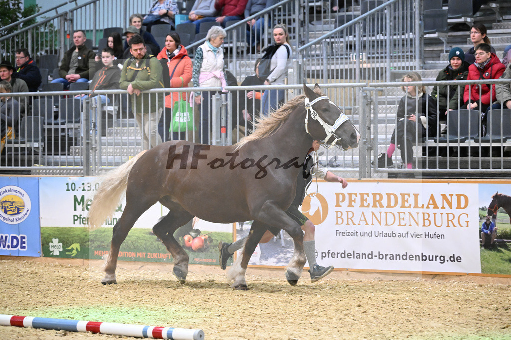 Kat-Nr. 38 Ulrike v. Voila_Daser_1260558 | hf-fotografie - Realisiert mit Pictrs.com