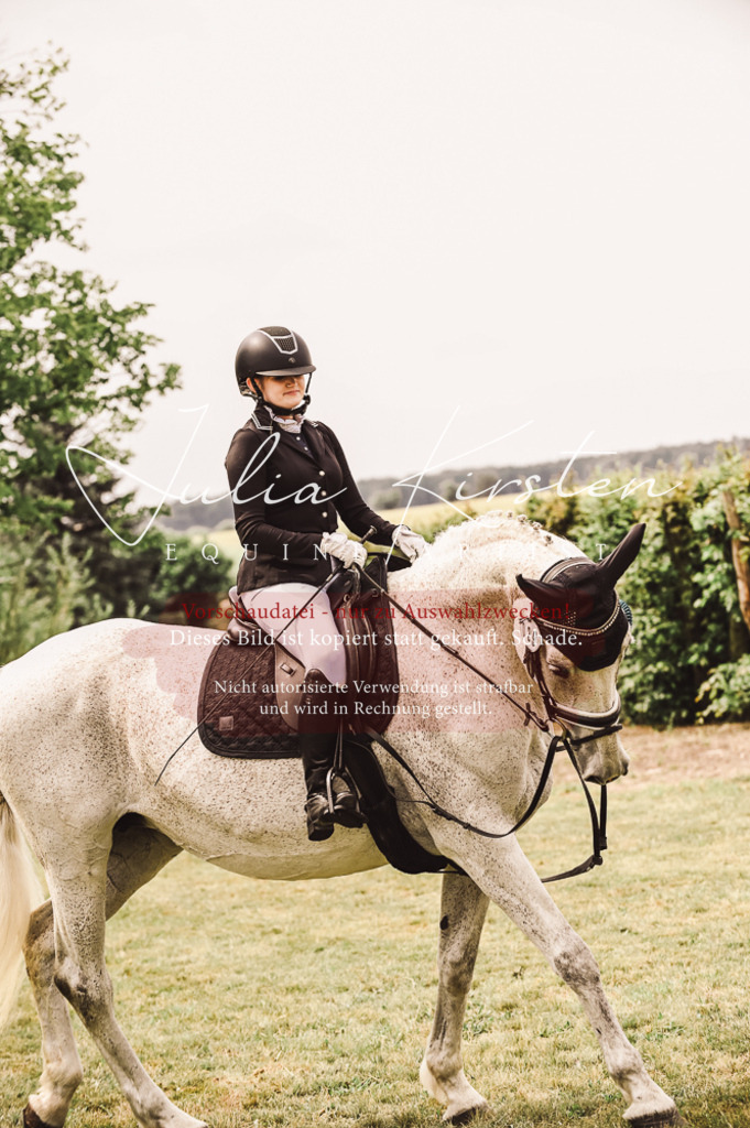 DSC_5187 | Pferde- und Turnierfotografie in Westsachsen. Pferdeportraits, Auftragszeichnungen und intuitive Kunst.