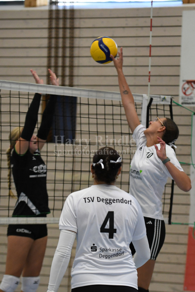 TSV Deggendorf Damen : Wilde Wespen Steinach | TSV Deggendorf Damen : Wilde Wespen Steinach - Realisiert mit Pictrs.com