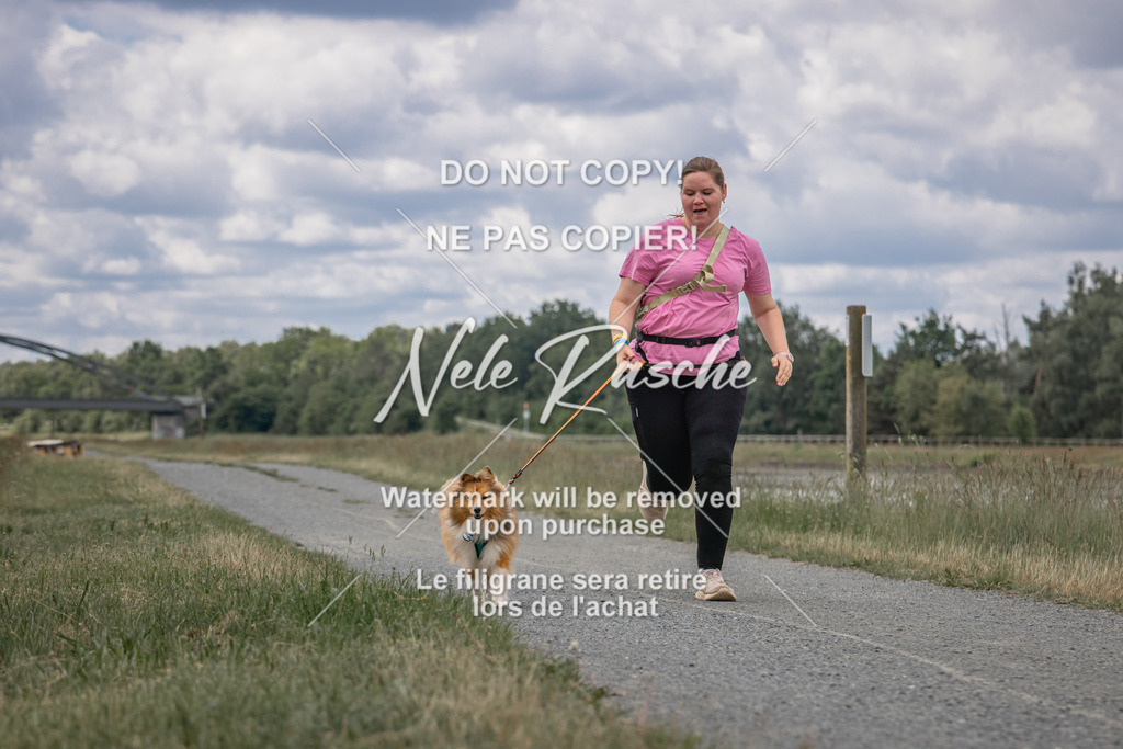 nelerasche_BuHu2026_SaCC1100-1200_111 | nelerasche