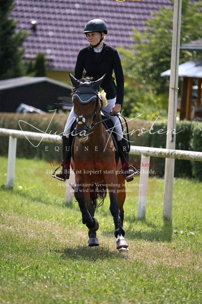 DSC_9197 | Pferde- und Turnierfotografie in Westsachsen. Pferdeportraits, Auftragszeichnungen und intuitive Kunst.