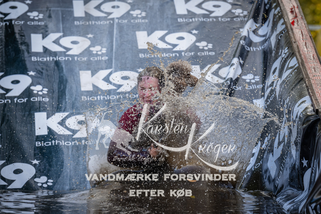 1527_ZZ94614 | kk-dogfotos