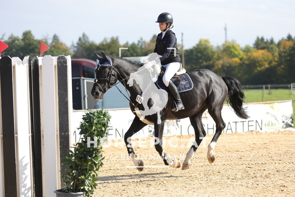 0P6A8046 | Willkommen bei Brunnmayr - Design & Fotografie – Ihrem Spezialisten für Reitturniere und Pferdeveranstaltungen in Oberösterreich, Salzburg und Bayern! Seit über 17 Jahren sind wir leidenschaftlich dabei.