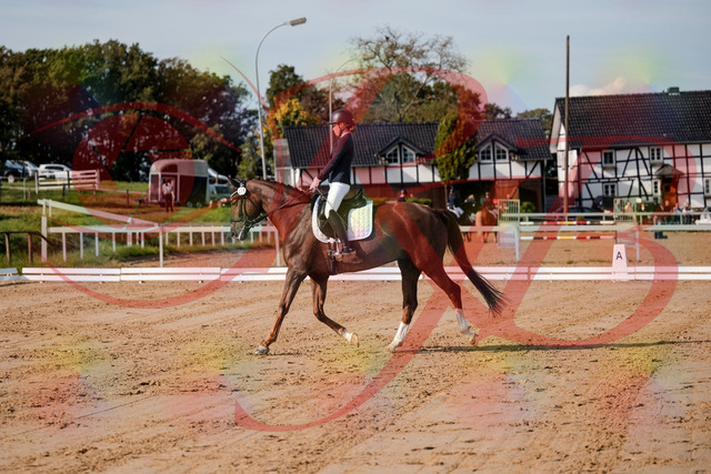 2026_10_03_Siefer-Hof_114730_Z63_26494905 | Professionelle Reitsport-, Turnier- und Eventfotografie von Robert Broda. Galerien mit ausgewählten und bearbeiteten Bildern direkt online ansehen und bestellen.