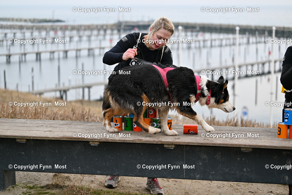 DSC_1569 | Hallo und herzlich Willkommen auf meiner Shop-Seite Fynn Most.

Ich wünsche Dir viel Spaß beim stöbern durch die Bilder, wenn Du Fragen hast oder Bilder vermisst, kannst du mir gerne eine Nachricht schreiben. - Realisiert mit Pictrs.com
