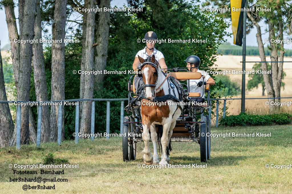 A1B06881 | foto-team-bernhard - Realisiert mit Pictrs.com