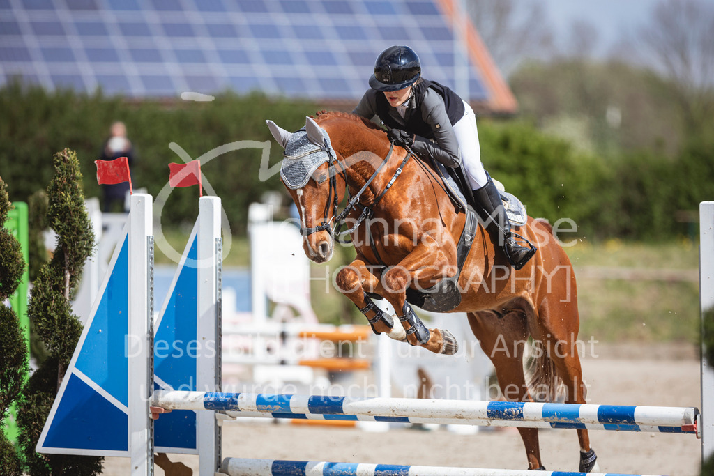 250419_Frühlingsfest_A-Stil1-477 | Deine schönsten Turniermomente als professionelle Fotos! Entdecke hochwertige Pferdesport-Fotografie im Online-Shop. Jetzt Fotos finden & bestellen!