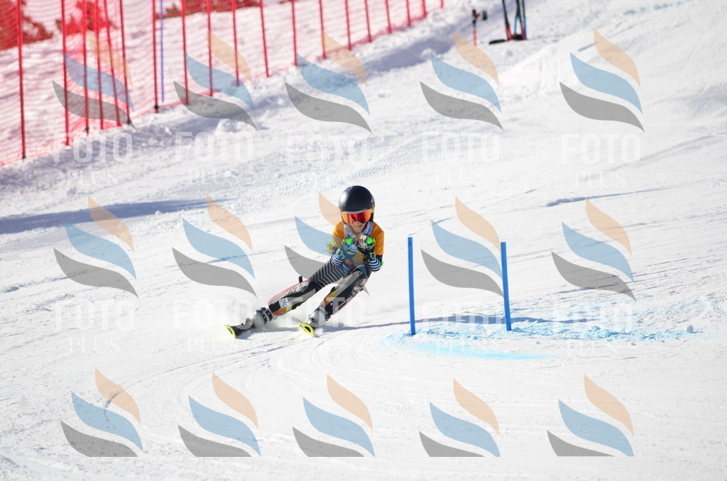 C6486 | holidayphoto