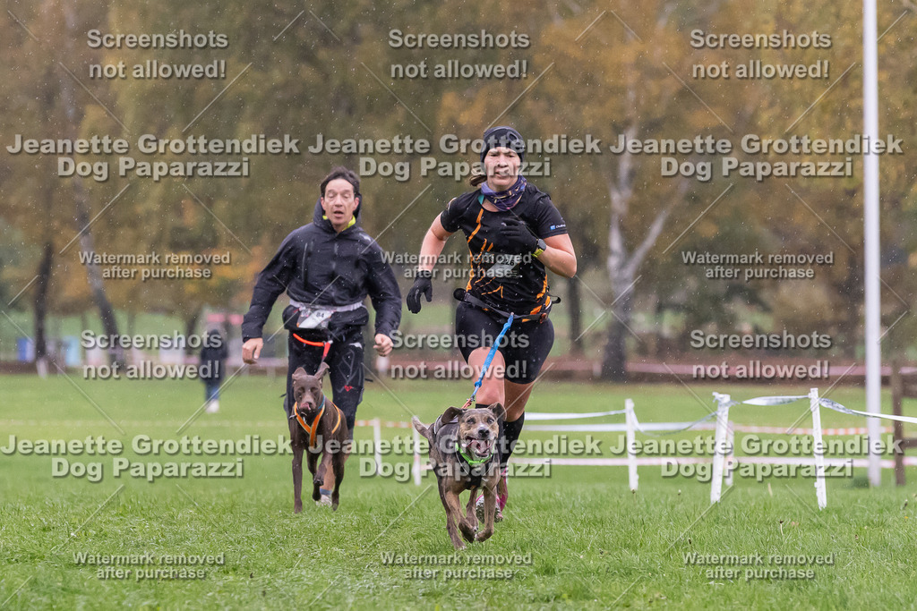 Dog Paparazzi - SD CaniX Championship 2025-982 | Dog Paparazzi Jeanette Grottendiek Fotografie & Videografie - Realisiert mit Pictrs.com