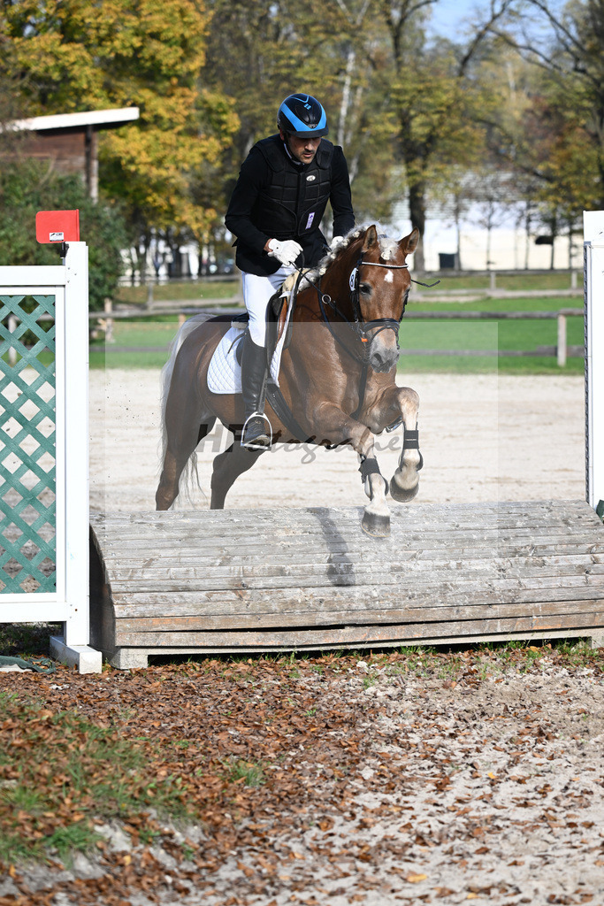 Kat-Nr. 8 Eiswind_Sendig Gestuet Meura_44240803 | hf-fotografie - Realisiert mit Pictrs.com