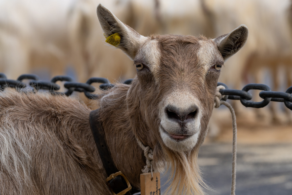 2023_10_04 A7V00201 | bridgeman - Realisiert mit Pictrs.com