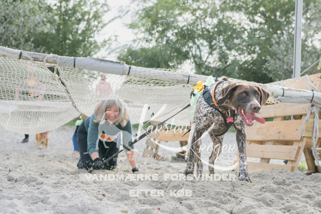 1338_ZZ98023 | kk-dogfotos