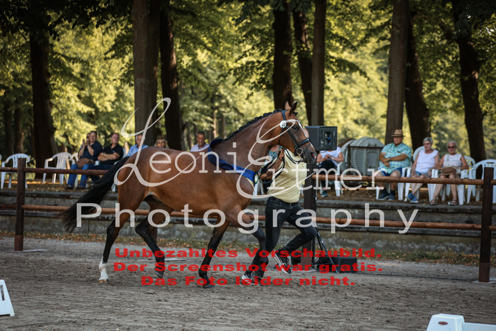 DoER00050 | Leoni Ertmer Photography - Realisiert mit Pictrs.com