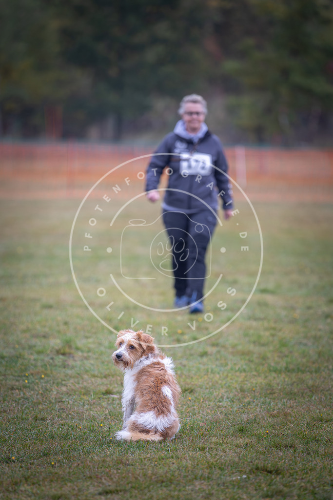 Pfotenfotografie_DV3A9224 | Hundefotografie, Tierfotograf, Pfotenfotografie, Fotoshooting Hund, Hunde Portrait, Hundesport, Hundeportraits, Heideshooting, Hunde, Sportfotograf, Hundefotograf, Turnierhundsport, THS,  - Realisiert mit Pictrs.com
