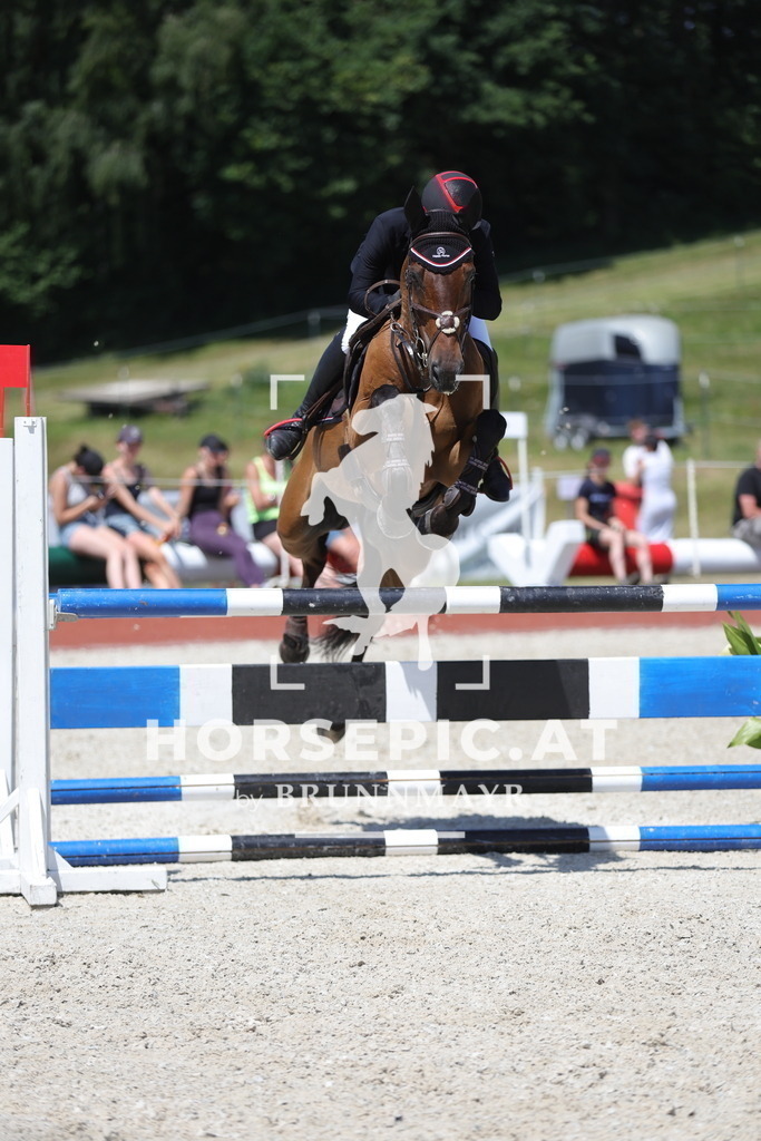 0P6A9738 | Willkommen bei Brunnmayr - Design & Fotografie – Ihrem Spezialisten für Reitturniere und Pferdeveranstaltungen in Oberösterreich, Salzburg und Bayern! Seit über 17 Jahren sind wir leidenschaftlich dabei.