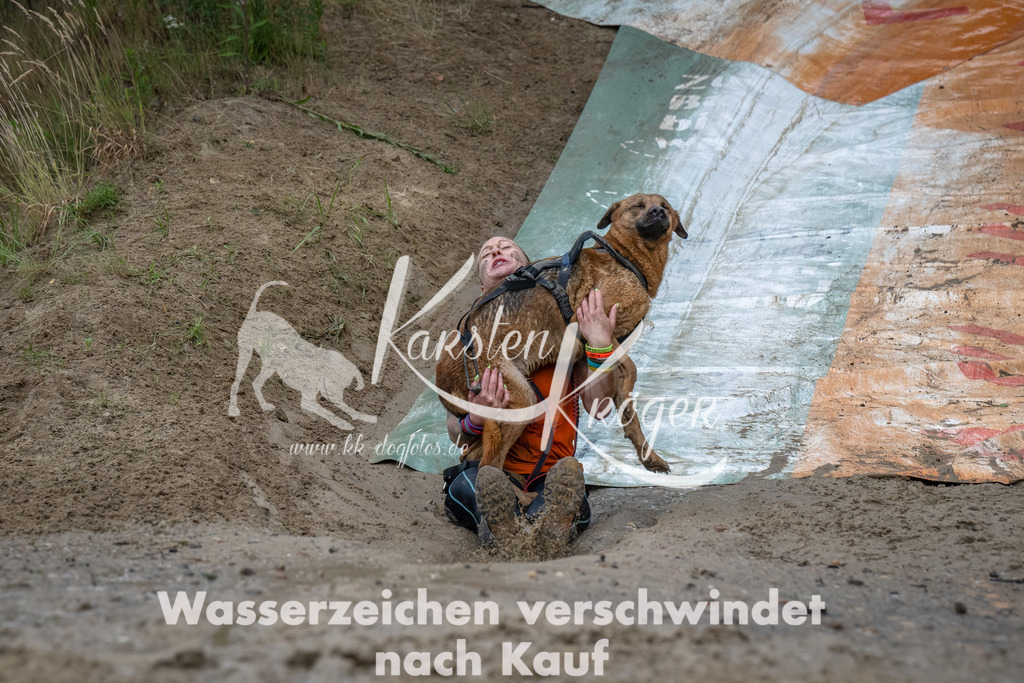 1622_ZZ91261-Bearbeitet | kk-dogfotos