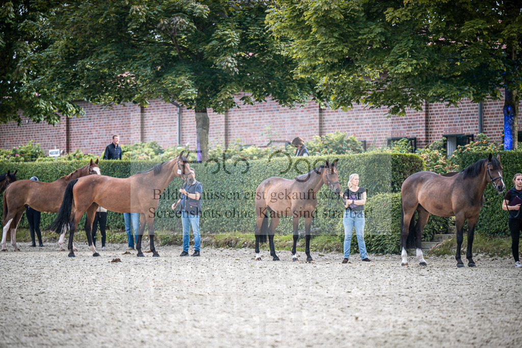 DOS_2455 | Entdecke hochwertige Reitturnierfotos von Foto Oger. Professionell, emotional und authentisch – jetzt Lieblingsmomente im Shop bestellen.Deutschlandweite Turnierfotografie. - Realisiert mit Pictrs.com