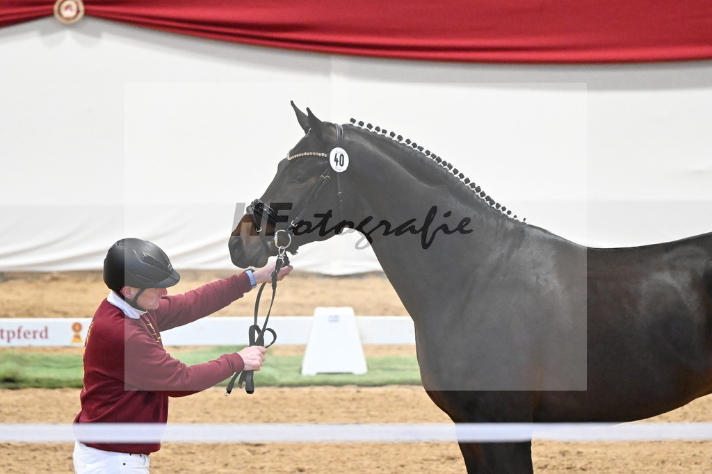 Kat.-Nr. 40 v. Despacito_Greim_3260231 | hf-fotografie - Realizzato con Pictrs.com