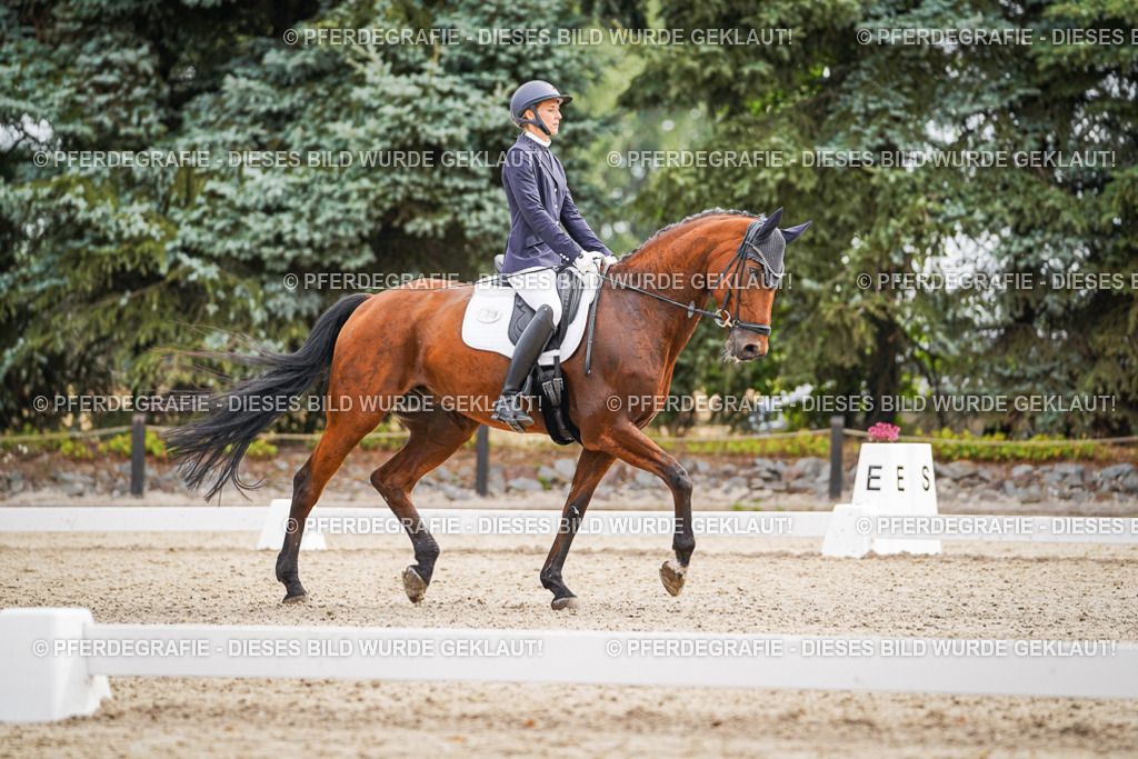 DSC01914 | Pferdegrafie