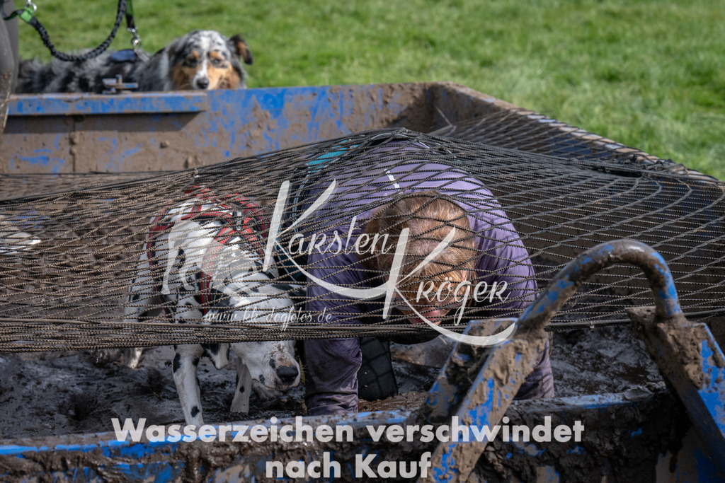 1421_ZZ92101 | kk-dogfotos
