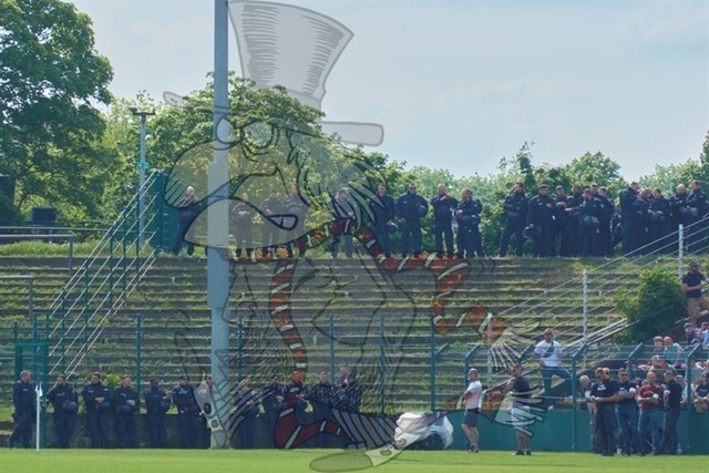 BFC Dynamo vs. FC Energie Cottbus 005 | mythos-online-redaktion