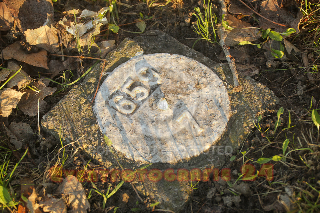 241201_0942_EX2_6939 | Eventfotografie 24Sport- und Eventfotografie