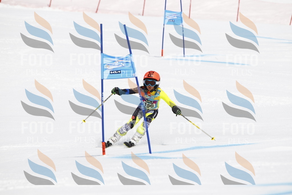 _U3G4212 | holidayphoto